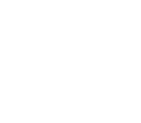 Logo Mayer
